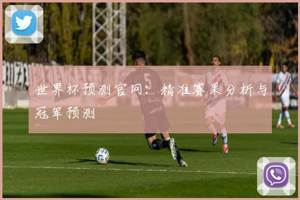 世界杯预测官网:精准赛果分析与冠军预测