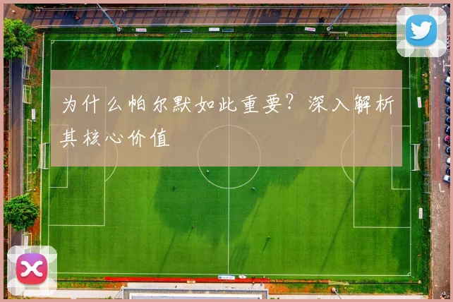 为什么帕尔默如此重要?深入解析其核心价值