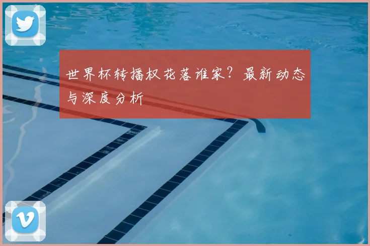 世界杯转播权花落谁家?最新动态与深度分析